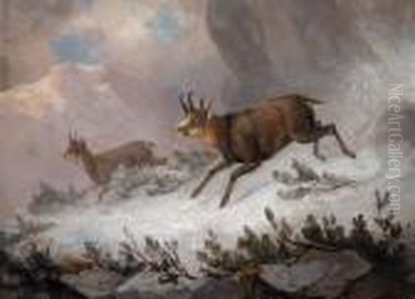 Zwei Gemsen Im Hochgebirge Oil Painting by Franz Xavier Von Pausinger