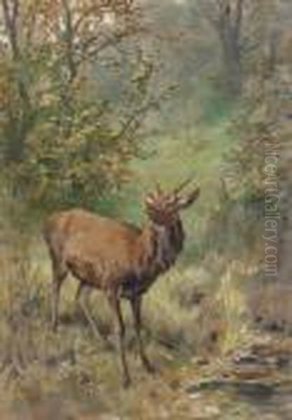 A Roebuck Oil Painting by Franz Xavier Von Pausinger