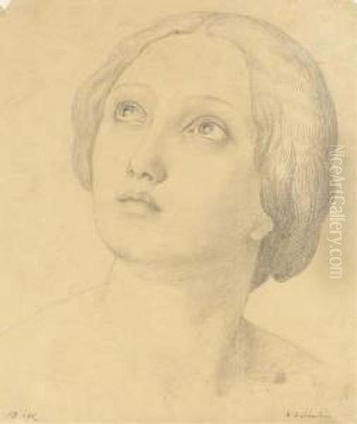 Head Of A Woman Looking Up Oil Painting by Friedrich Wilhelm von Schadow