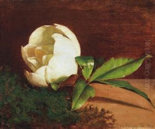 White Magnolia Oil Painting by Paul Von Szinyei-Merse