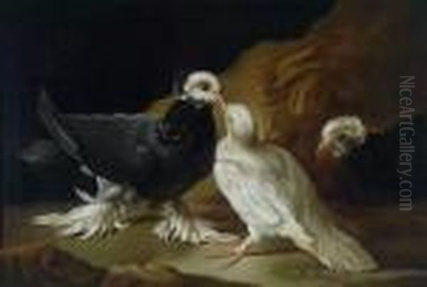 Ein Schnabelndestaubenpaar Oil Painting by Frans Werner Von Tamm