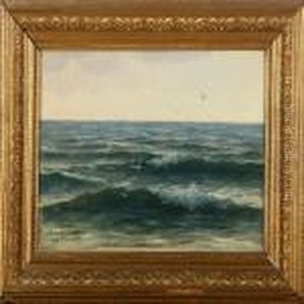 A Sea Scenery Withbirds Oil Painting by Johan Peter Von Wildenradt