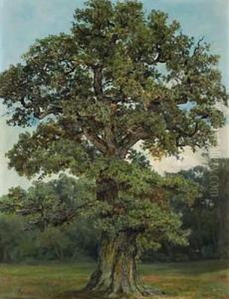 The Old Oak Oil Painting by Fritz Von Wille