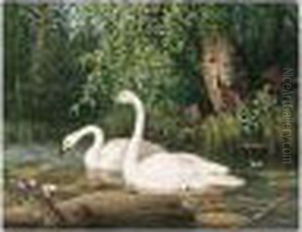 Joutsenpari Lammella (whooper Swans On A Lake) Oil Painting by Ferdinand Wilhelm Von Wright