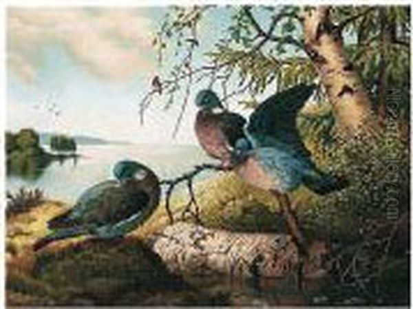 Kyyhkyset Jarven Rannalla (pigeons By A Lake) Oil Painting by Ferdinand Wilhelm Von Wright