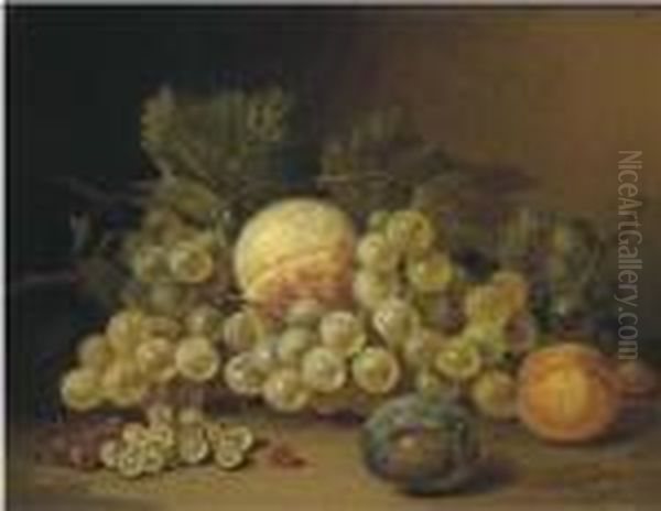 Still Life With Fruits On A Ledge Oil Painting by Sebastiaan Theodorus Voorn Boers