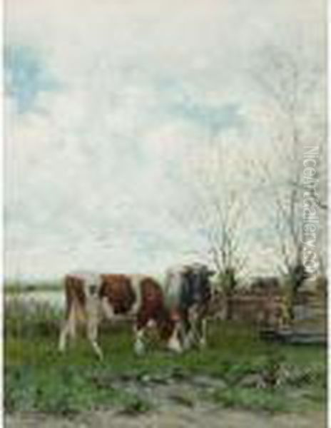 Cows At Pasture Oil Painting by Jan Martinus Vrolijk