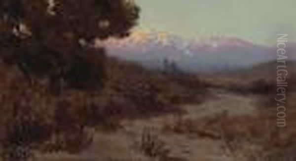 A Shaded Path With Snow-capped Peaks In The Distance Oil Painting by Elmer Wachtel