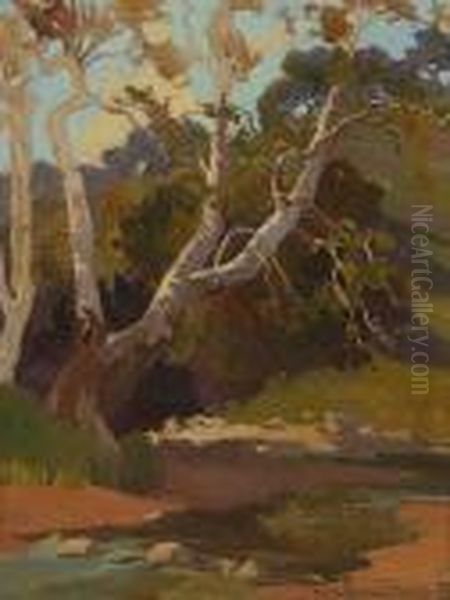 Sycamores By A Stream (no. 40) Oil Painting by Marion Kavanaugh Wachtel