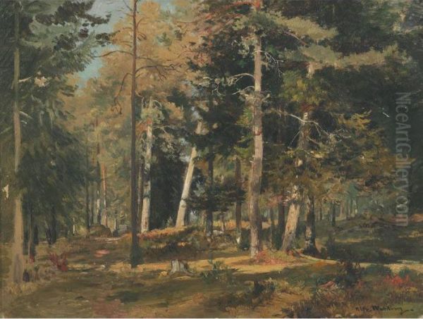 Sunlit Forest Oil Painting by Alfred Wahlberg