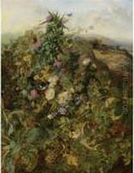 Wild Raspberries And Thistles Oil Painting by John Wainwright