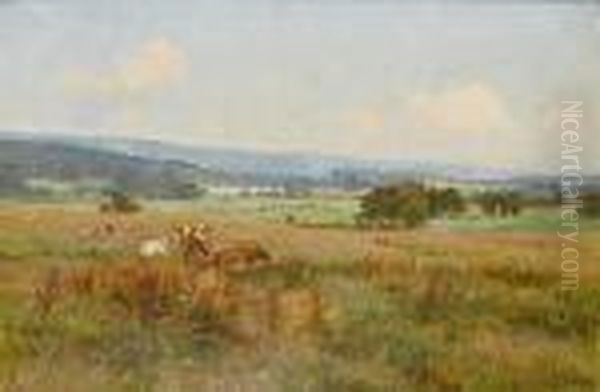 Cattle In A Meadow Oil Painting by Edward Wilkins Waite