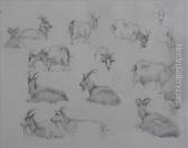 Rba Sketchesof Goats Oil Painting by Edward Wilkins Waite