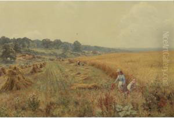 Picking Poppies In Flower-fringed Fields Oil Painting by Edward Wilkins Waite