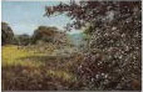 Early Summer Oil Painting by Edward Wilkins Waite