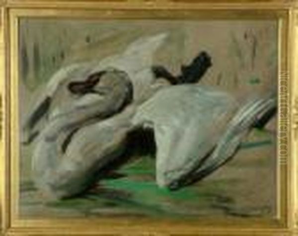 A Study Of A Swan Oil Painting by William Walls