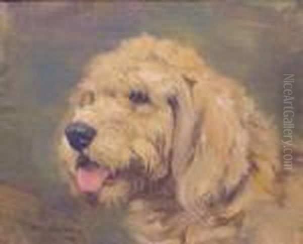 Head Of An Otterhound Oil Painting by William Walls