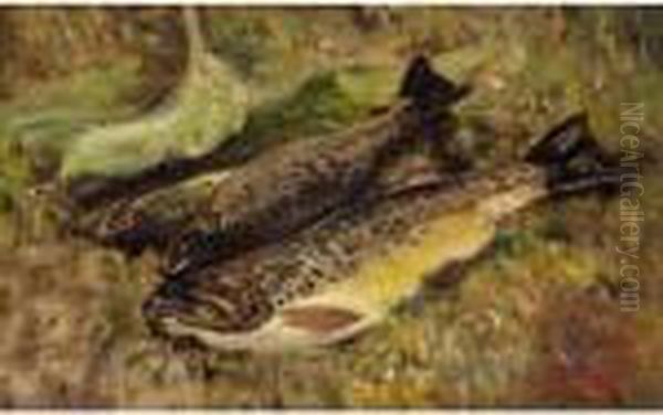 Brown Trout Oil Painting by William Walls