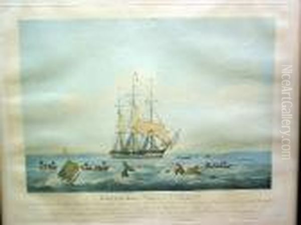 South Sea Whale Fishery Oil Painting by Thomas Walmsley