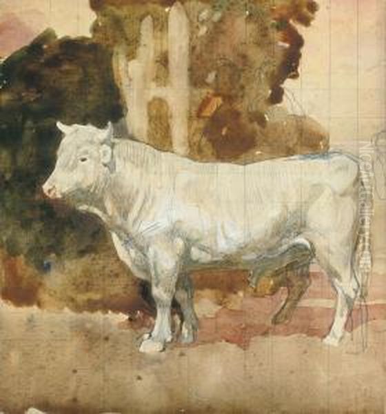 White Bull Oil Painting by Edward Arthur Walton