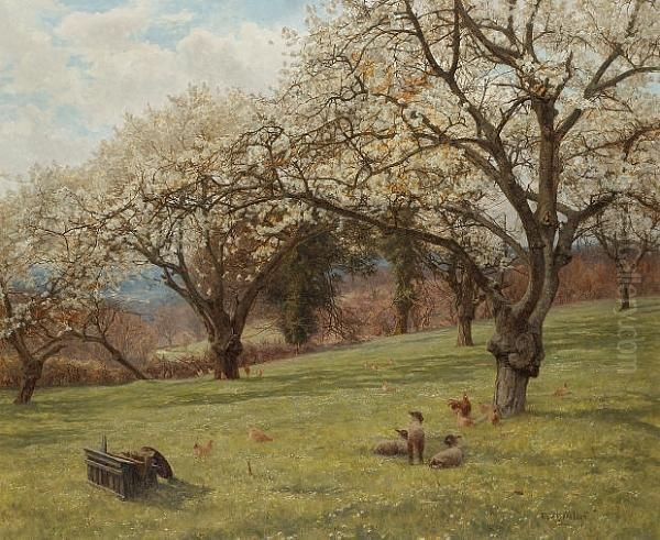 The Cherry Orchard Oil Painting by Frank Walton