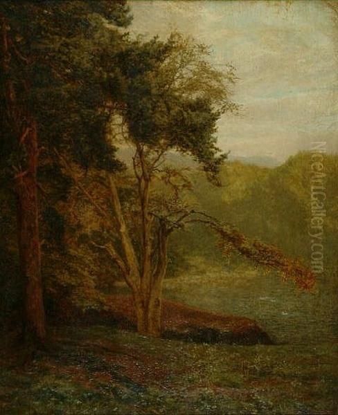 Duck On A Surrey Pond Oil Painting by Frank Walton