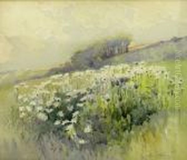 Wild Meadow Flowers Oil Painting by Harry Wanless