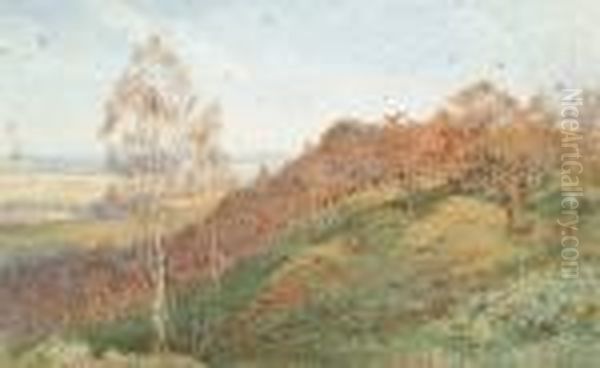 Pheasant Shooting At Brierley, Herefordshire Oil Painting by Cyril Ward