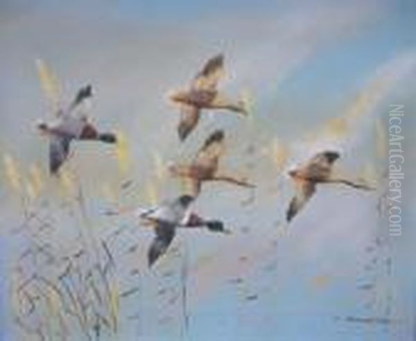 Mallard Ducks In Flight Oil Painting by Edward Matthew Ward