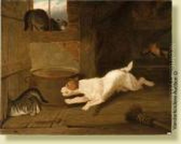 Chien Chassant Les Chats Oil Painting by Martin Theodore Ward