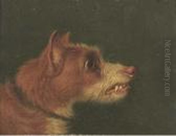 Snarling Terriers Oil Painting by Martin Theodore Ward