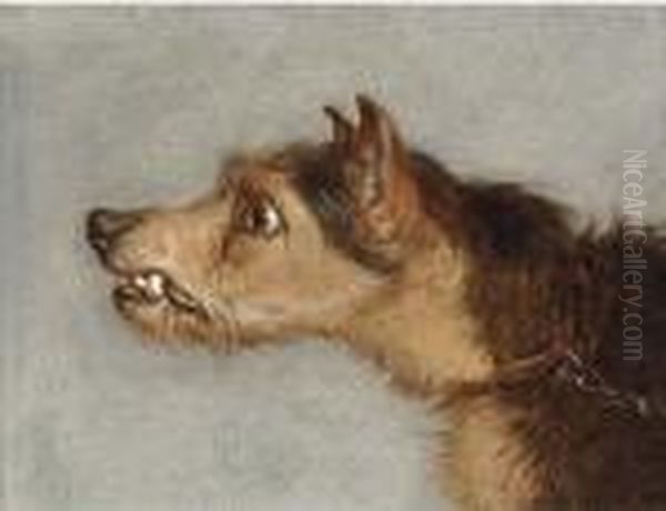 The Head Of Terrier; And The Head Of Lurcher Oil Painting by Martin Theodore Ward