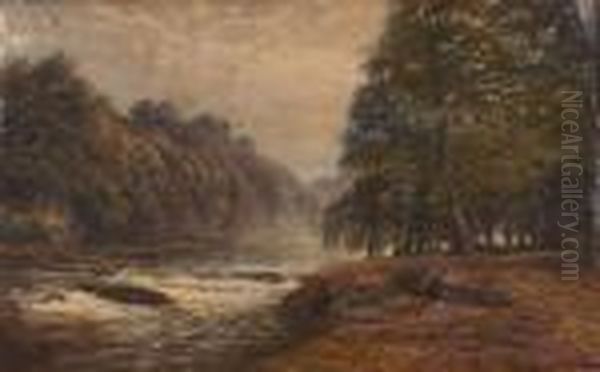 A Wooded River Landscape With Birds Oil Painting by Edmund George Warren