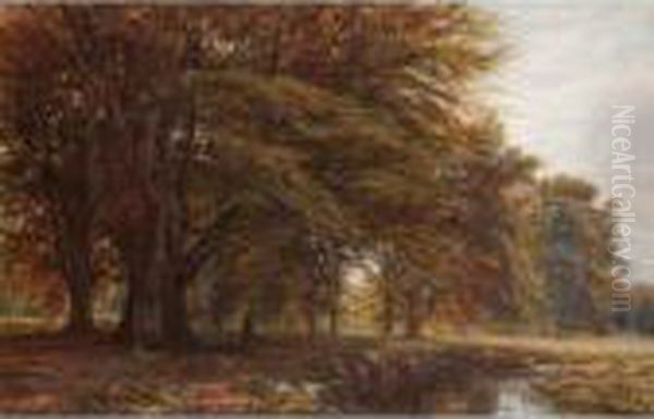 The Beech Wood Oil Painting by Edmund George Warren