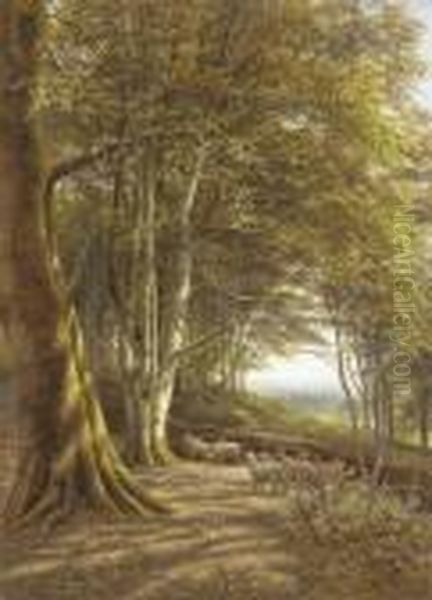 Sheep Grazing At The Edge Of A Beech Wood Oil Painting by Edmund George Warren