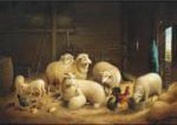 Ewes, Lambs, Chicks And Chickens In A Barn Oil Painting by Susan C. Waters