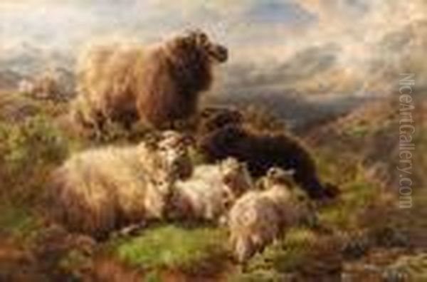 Sheep On The Mountains, Loch Tay Oil Painting by William Watson