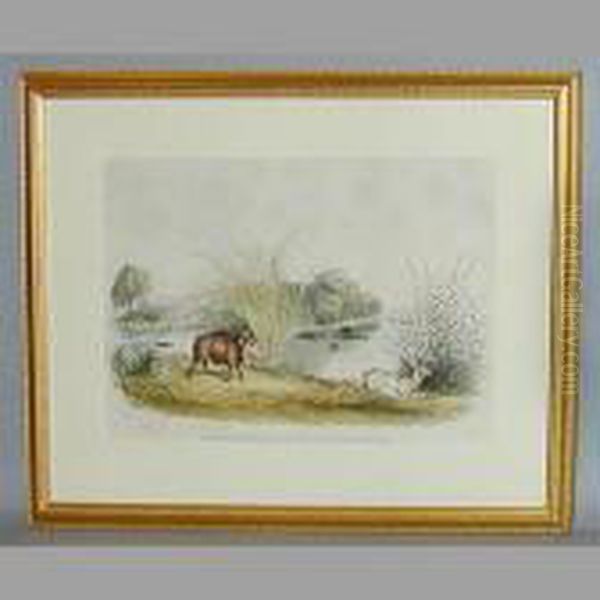 The African Wild Boar Oil Painting by William Harris Weatherhead