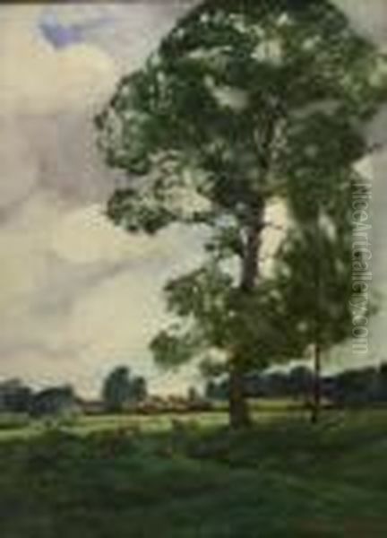 Trees In Landscape Oil Painting by Mary Weatherill