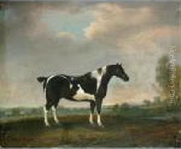 A Piebald Cob In A Landscape Oil Painting by Thomas Weaver