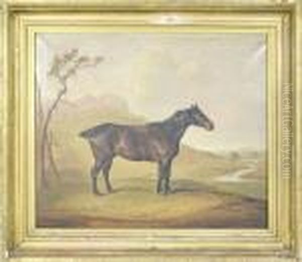 A Portrait Of A Horse In A Landscape Oil Painting by Thomas Weaver