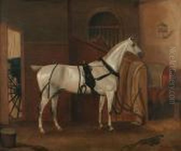 Portrait Of A Grey Hackney In A Stable, Possibly Commissioned For John Eaton,
(horse Blankets Initialled J. E.) Oil Painting by Thomas Weaver