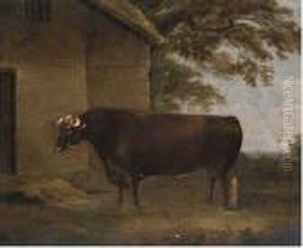 Prizefighter Bull Oil Painting by Thomas Weaver