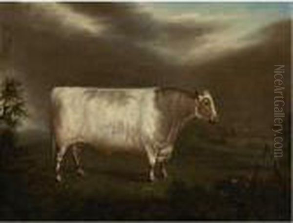 The Shorthorn Bull, Comet Oil Painting by Thomas Weaver