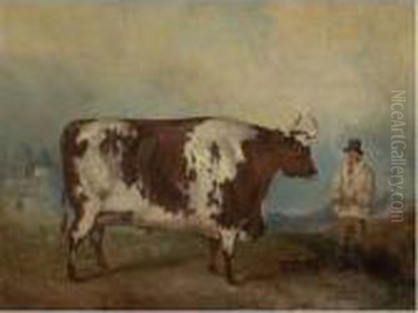 Durham Ox Oil Painting by Thomas Weaver