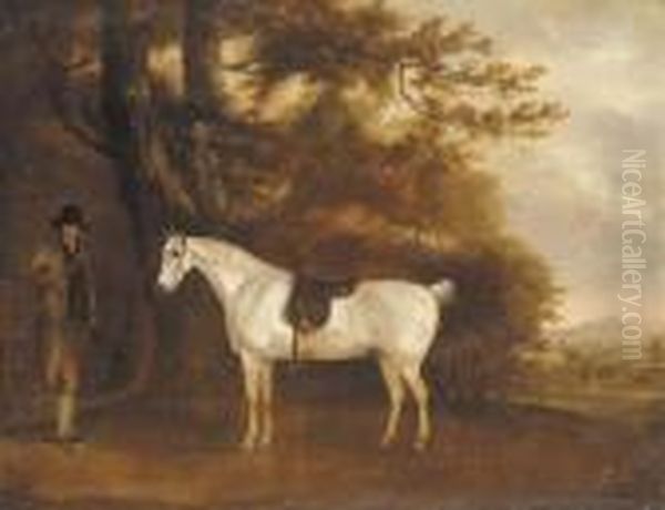 A Saddled Grey Hunter With Groom Oil Painting by Thomas Weaver