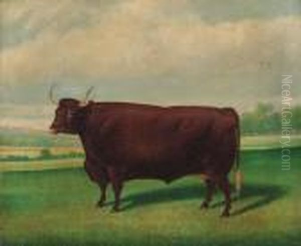 A Prize Longhorned Bull Oil Painting by Thomas Weaver