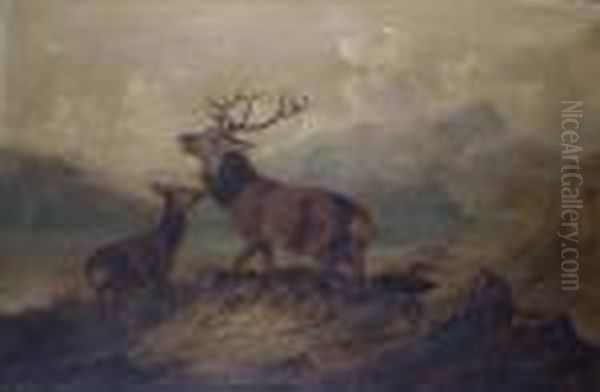 Stag In Thehighlands Oil Painting by Byron Webb