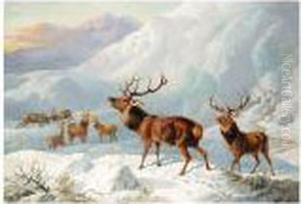 Stags In Highland Snow Oil Painting by Byron Webb