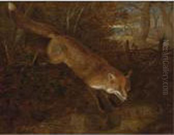 A Fox Breaking Cover Oil Painting by William Webb